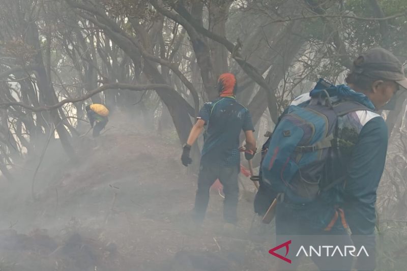 Ratusan Personel Gabungan Kewalahan Atasi Kebakaran Kawah Wadon Gunung Gede