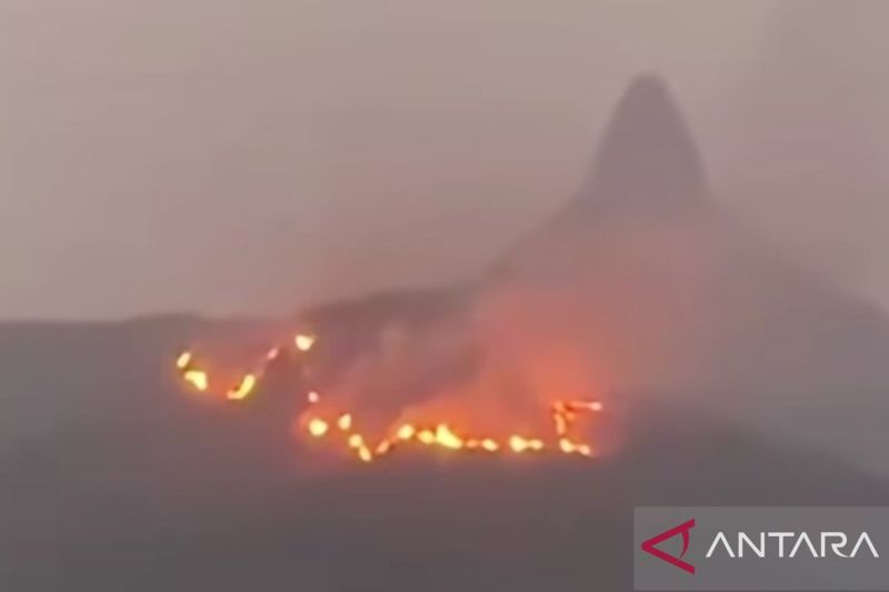 Kabut Asap Makin Parah, 1.500 Tabung Oksigen Dikirim ke 6 Provinsi