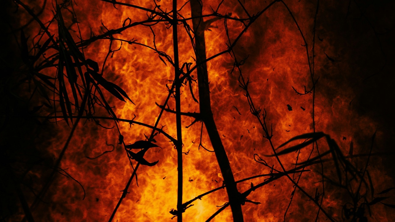 Permukiman Padat di Kramat Pulo, Jakpus, Terbakar, Gulkarmat Kerahkan 30 Mobil Pemadam