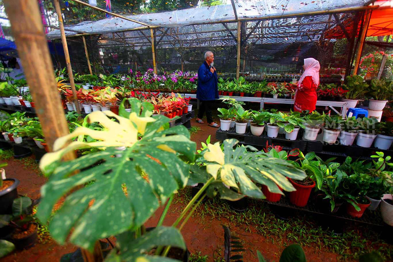 Jakarta Bersiap Jadi Ruang Biodiversitas Nusantara, FLONA 2026 Targetkan 70.000 Pengunjung