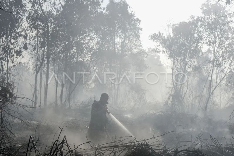 Begini Cara Pemerintah Tangani Korban Gempa NTT dan Karhutla di Kalimantan