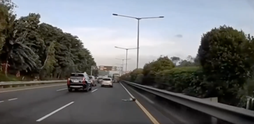 TNI Ungkap Penyebab Anak Terjatuh dari Bus di Tol Joglo, Diduga Terpental saat Pintu Darurat Terbuka