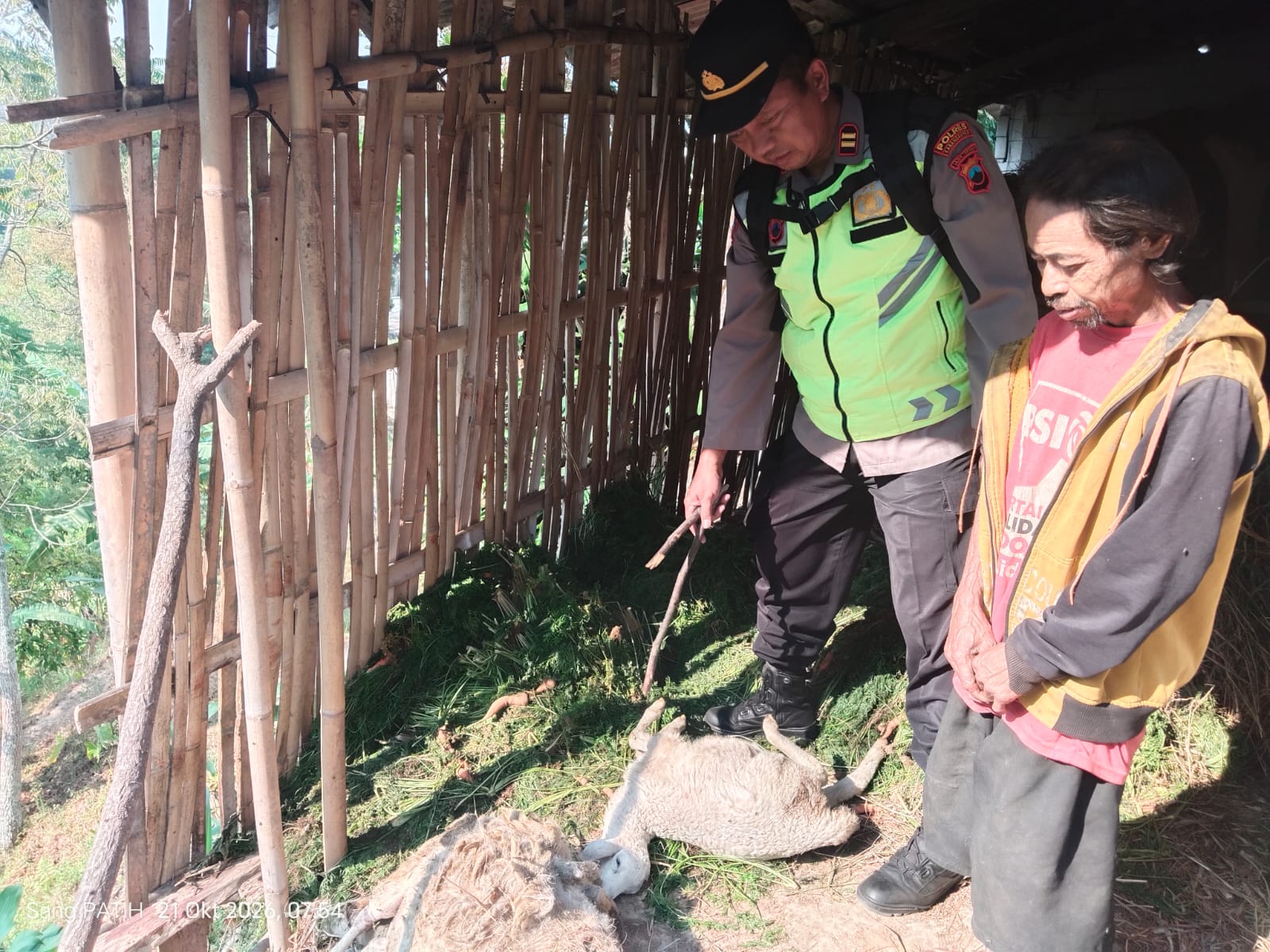Dugaan Serangan Hewan Buas Gunung Lawu, BKSDA Turun Lakukan Penyelidikan