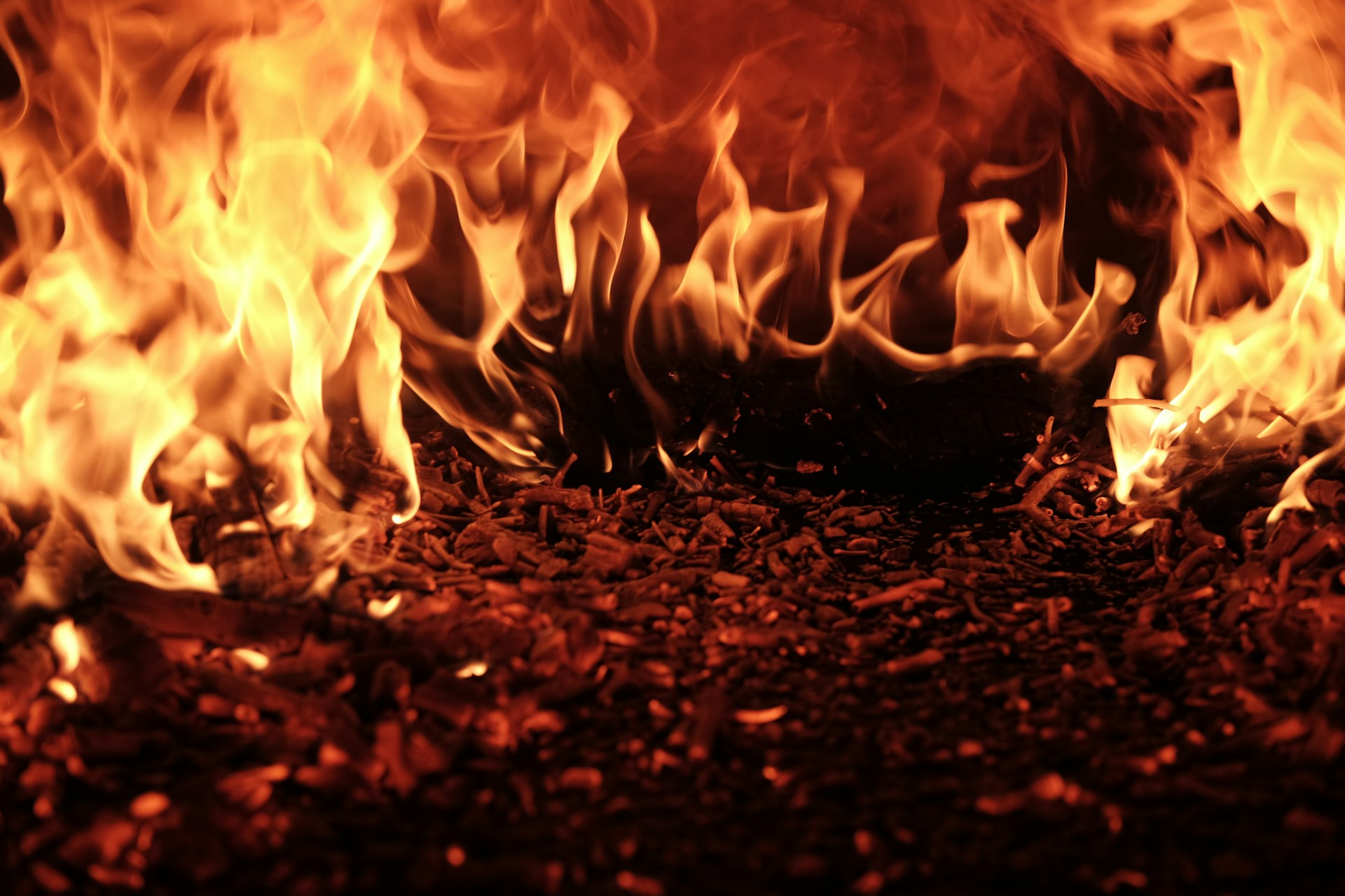 Apa itu Ground Fire? Fenomena Kebakaran Tersembunyi di Bawah Tanah