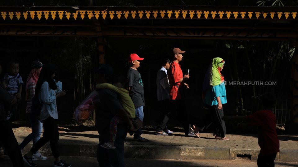 Rahasia Omzet Naik 50 Persen, Pedagang Dimsum Ragunan Happy Berkat Satwa Malam