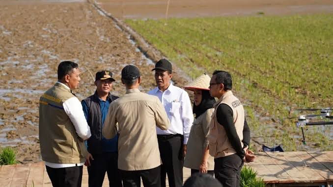 Topang Swasembada Pangan, Pemerintah Percepat Pemulihan 42.702 Hektare Lahan Pertanian Pascabencana di Sumatera